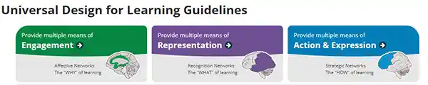 The UDL Guidelines