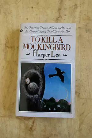 To Kill a Mockingbird Novel