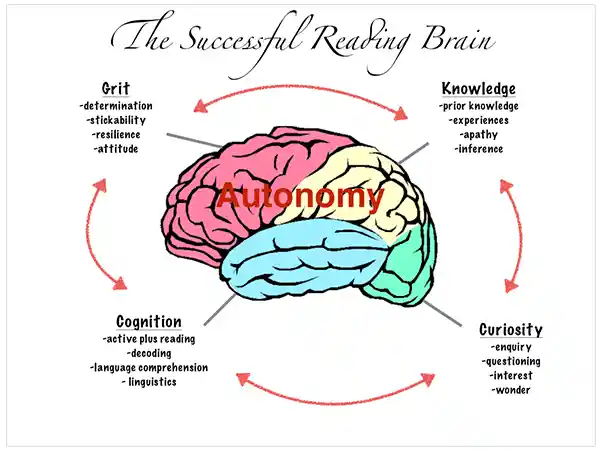 A Reading Brain