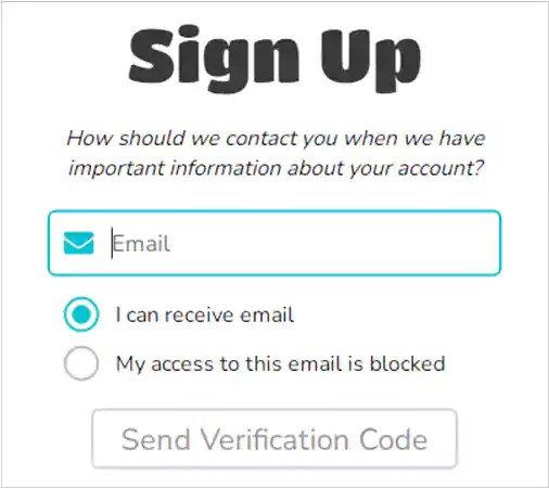 Enter Email select the checkbox Send verification Code