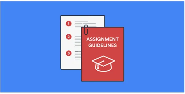 assignment guidelines