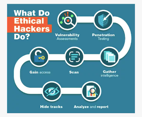  What Do Ethical Hackers Do?