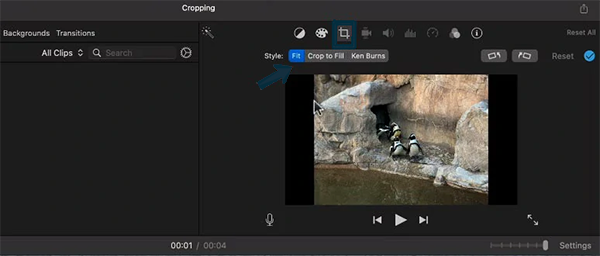 Crop Your Videos Online