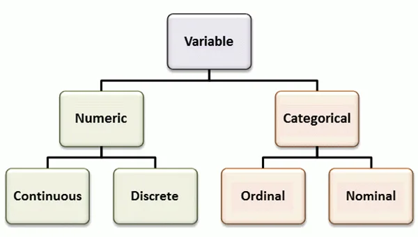 Variable in Statistics