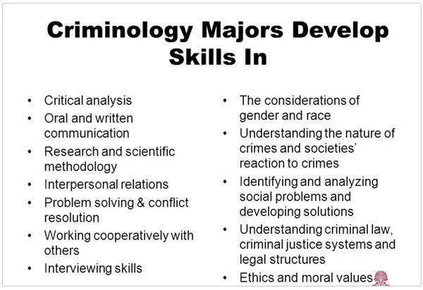 Criminology Majors Develop Transferable Skills 