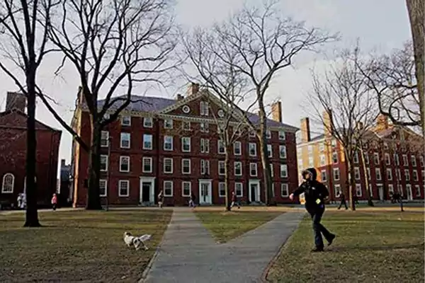 Harvard University