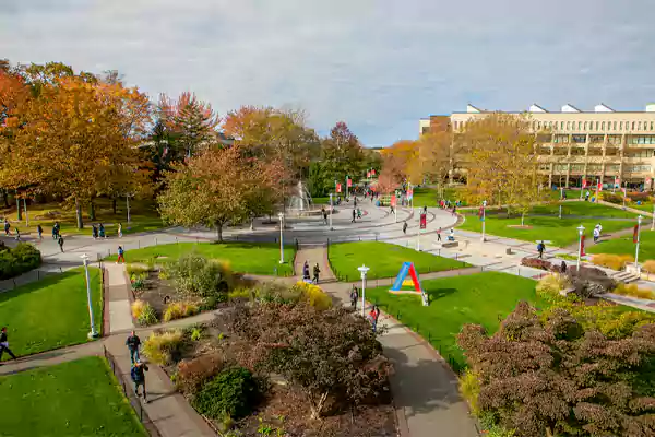 Stony Brook University