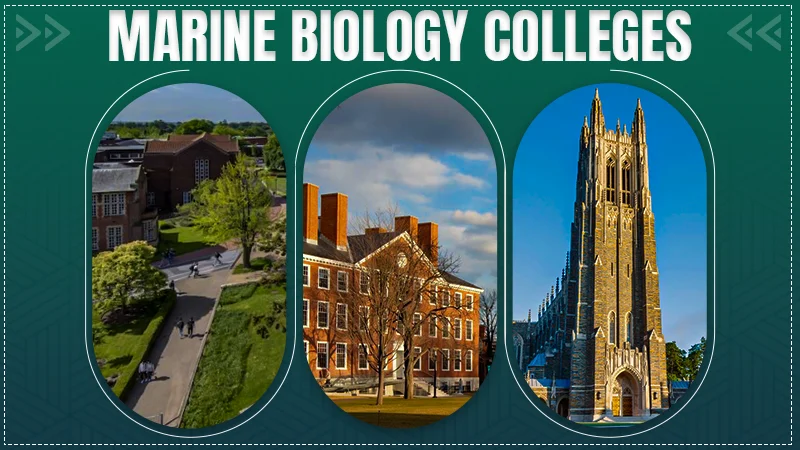 marine biology colleges