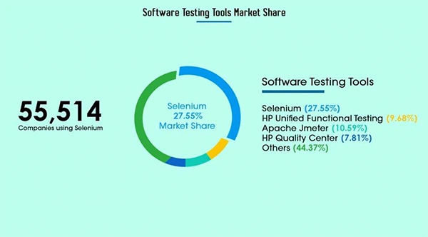 software testing