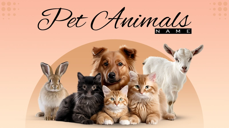 pet animals name