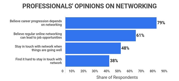 professionals' opinion on networking