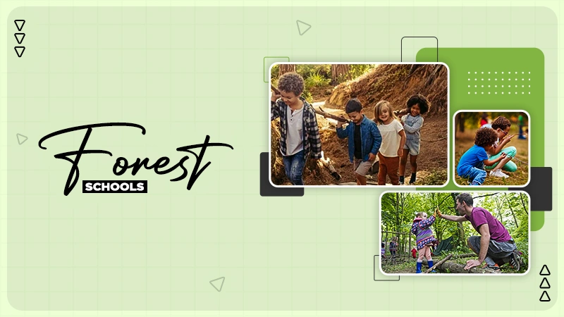 forest schools