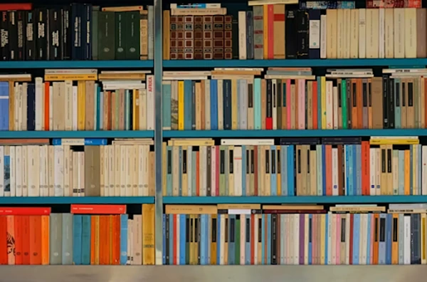 Characters for Your Novel